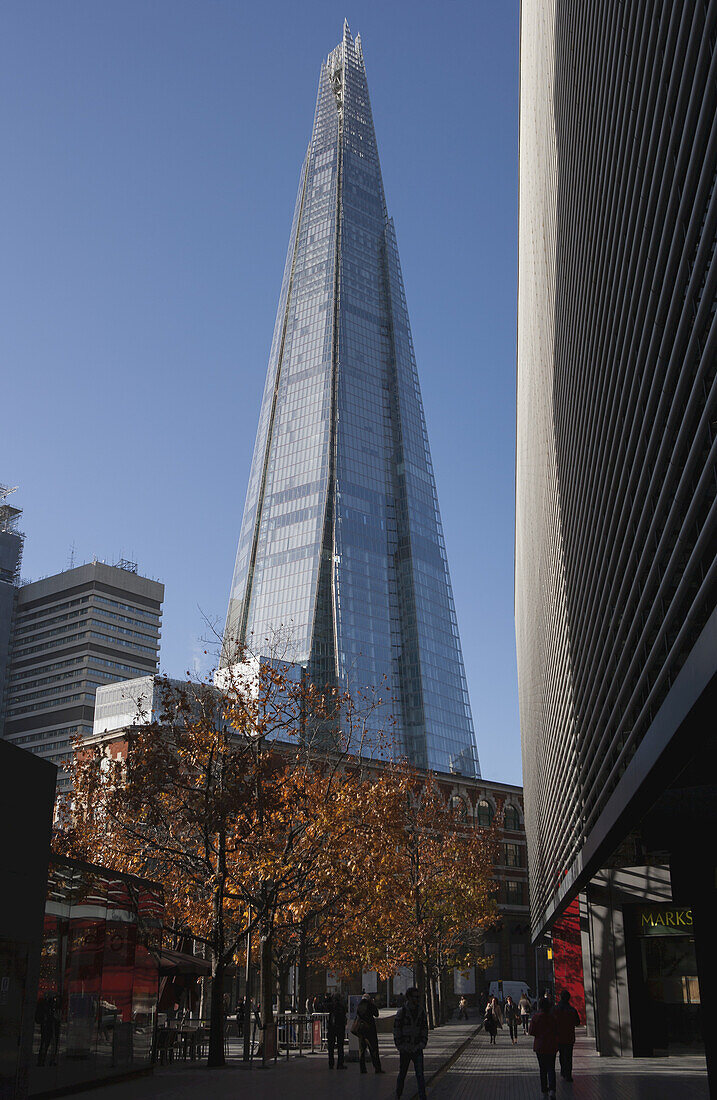 Der Shard-Wolkenkratzer von Renzo Piano am Südufer, gesehen hinter anderen neuen Bürogebäuden in der Nähe mit herbstlich gefärbten Bäumen; London, England.