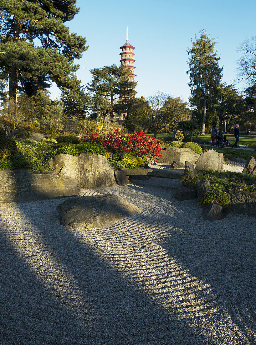 Kew Gardens, Japanese Garden In Summertime; London, England