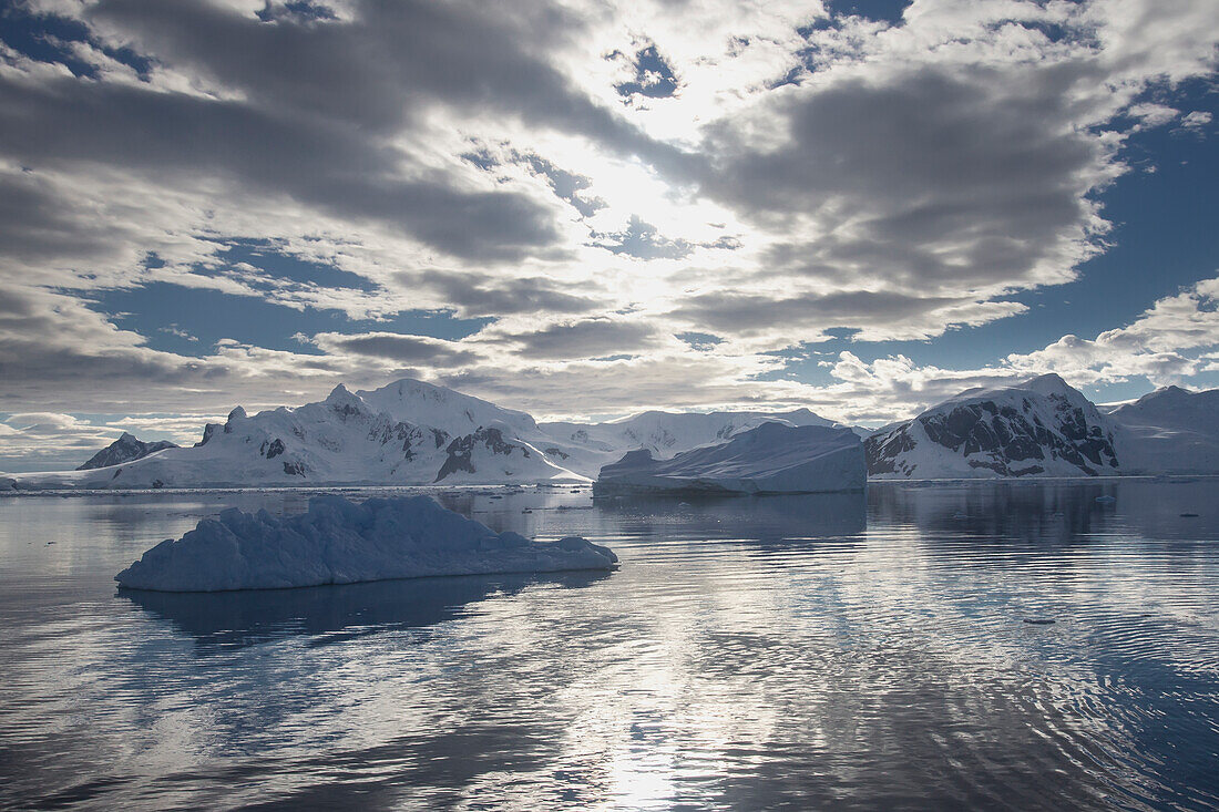 Icebergs In Front Of Neko Harbor, Antarctic Peninsula; Antarctica