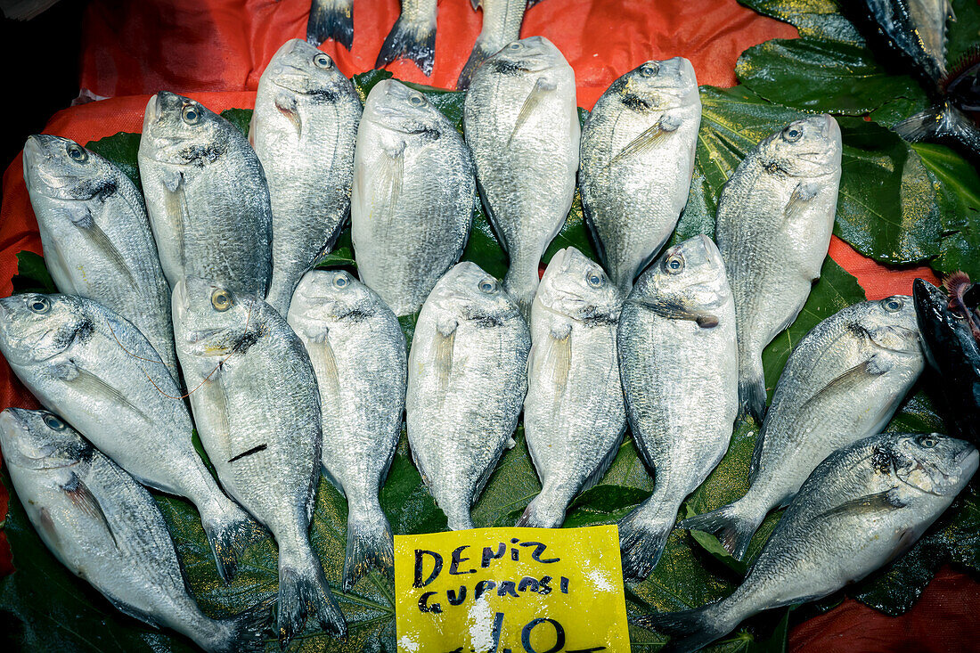 Frischer Fisch zum Verkauf auf einem Markt in Beyoglu, Instanbul, Türkei; Instanbul, Türkei