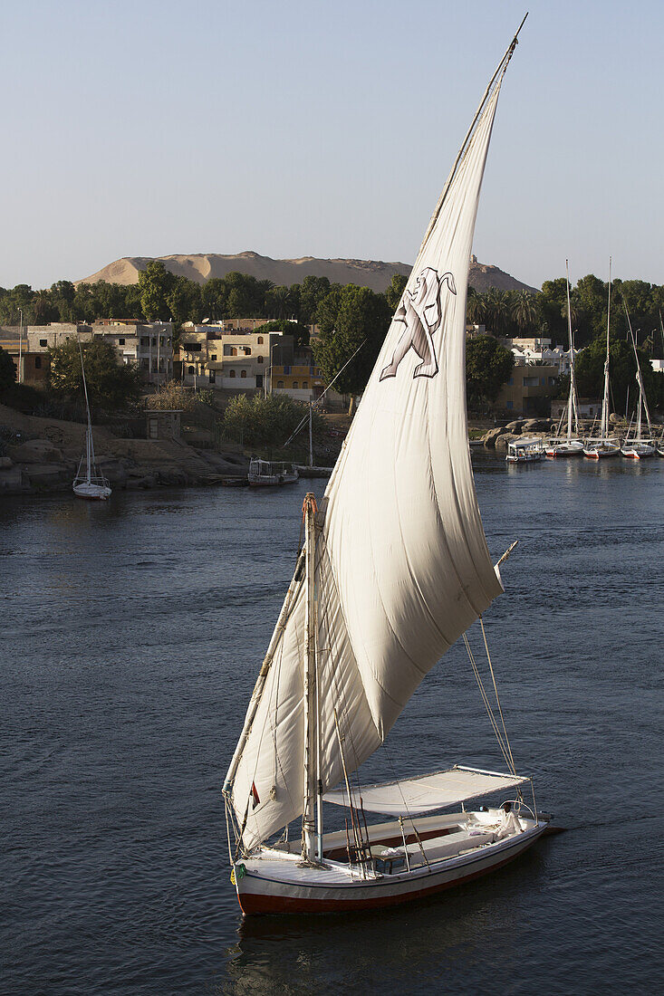 Falucca Sailing The Nile River; Aswan, Egypt