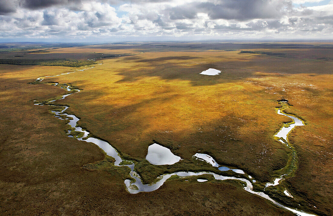 Braided river ecosystem snakes through the tundra and is used by salmon spawning.  Salmon bring marine-derived nutrients from the Kamchatka shelf in the Sea of Okhotsk into the eight major river systems that run off the middle range of mountains that divide Kamchatka in half; Kamchatka, Russia