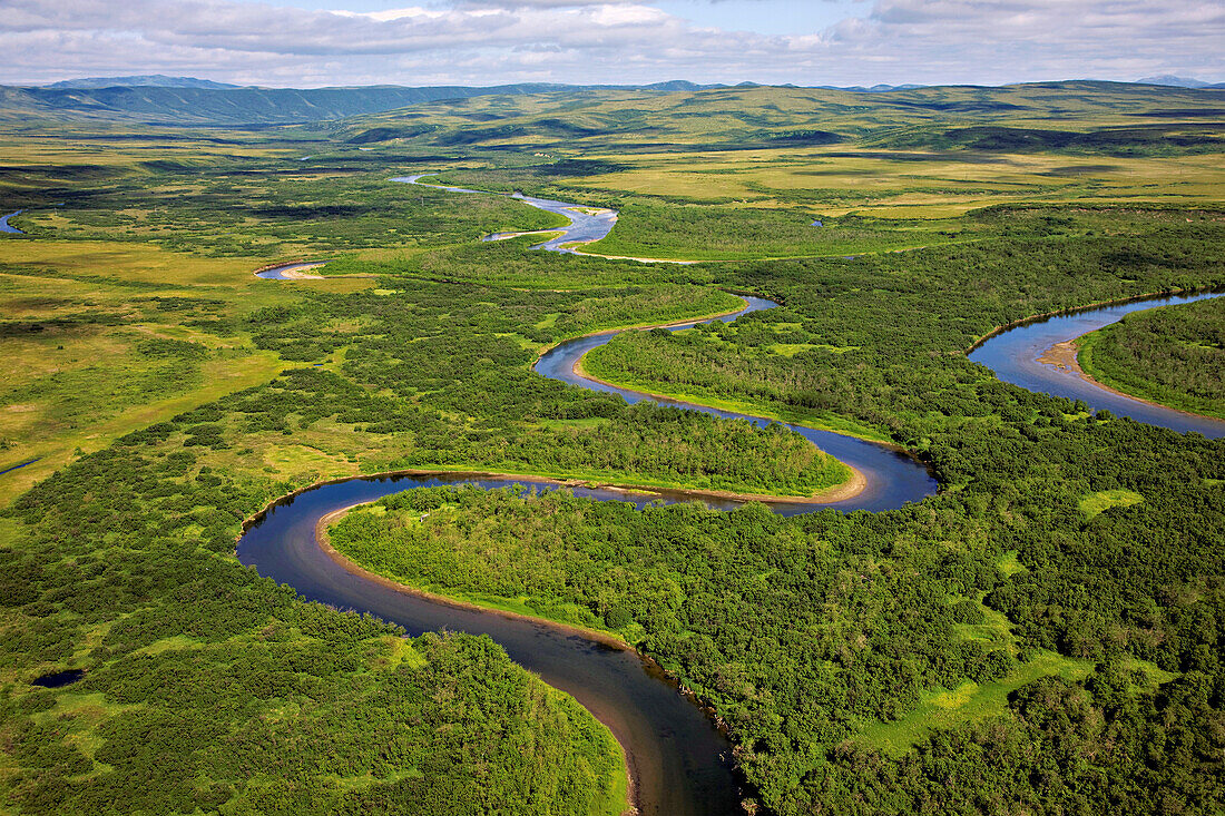 Der sich durch die Tundra schlängelnde, nährstoffreiche Fluss ist ein ideales Ökosystem für das Laichen von Lachsen; Kamtschatka, Russland