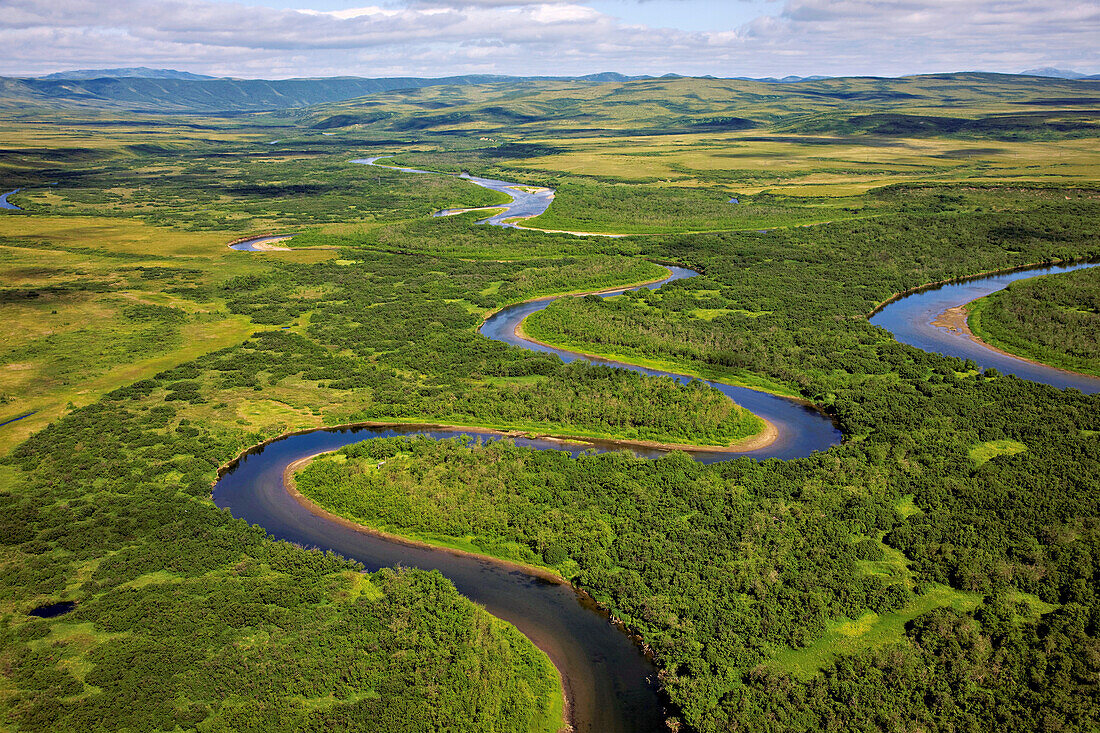 River ecosystem for salmon spawning is braided and full of nutrients as it meanders through the tundra; Kamchatka, Russia