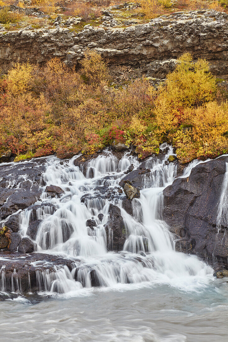 Hraunfossar Falls, near Reykholt, in west Iceland; Iceland