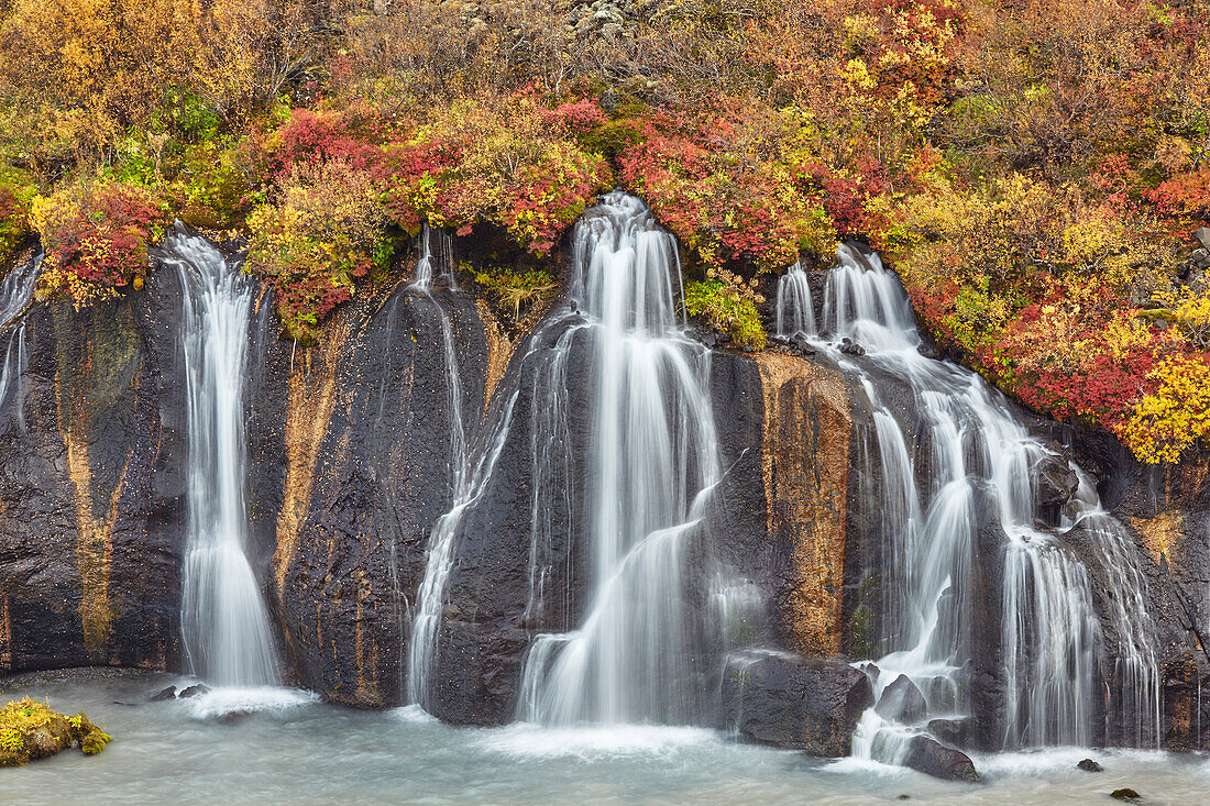 Hraunfossar Falls, near Reykholt, in west Iceland; Iceland