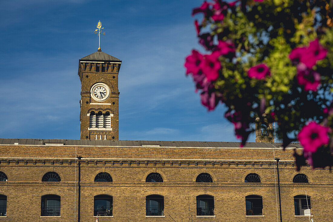 Uhrenturm und Gebäude mit blühenden Blumen im Vordergrund, in St Katharine Docks Marina, London, UK; London, England