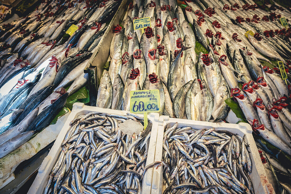 Fisch zum Verkauf auf dem Kadiköy-Markt in Kadiköy, Istanbul; Istanbul, Türkei.