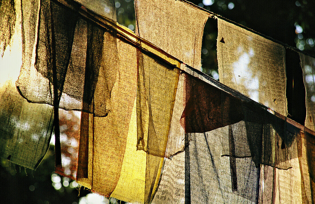 Sonnenlicht fällt durch die in Kathmandu aufgehängten Gebetsfahnen; Kathmandu, Nepal