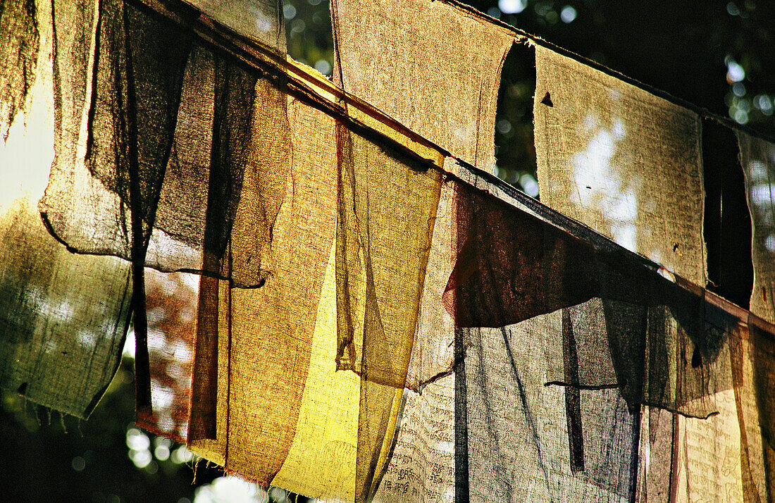 Sunlight filters through prayer flags hanging in Kathmandu; Kathmandu, Nepal
