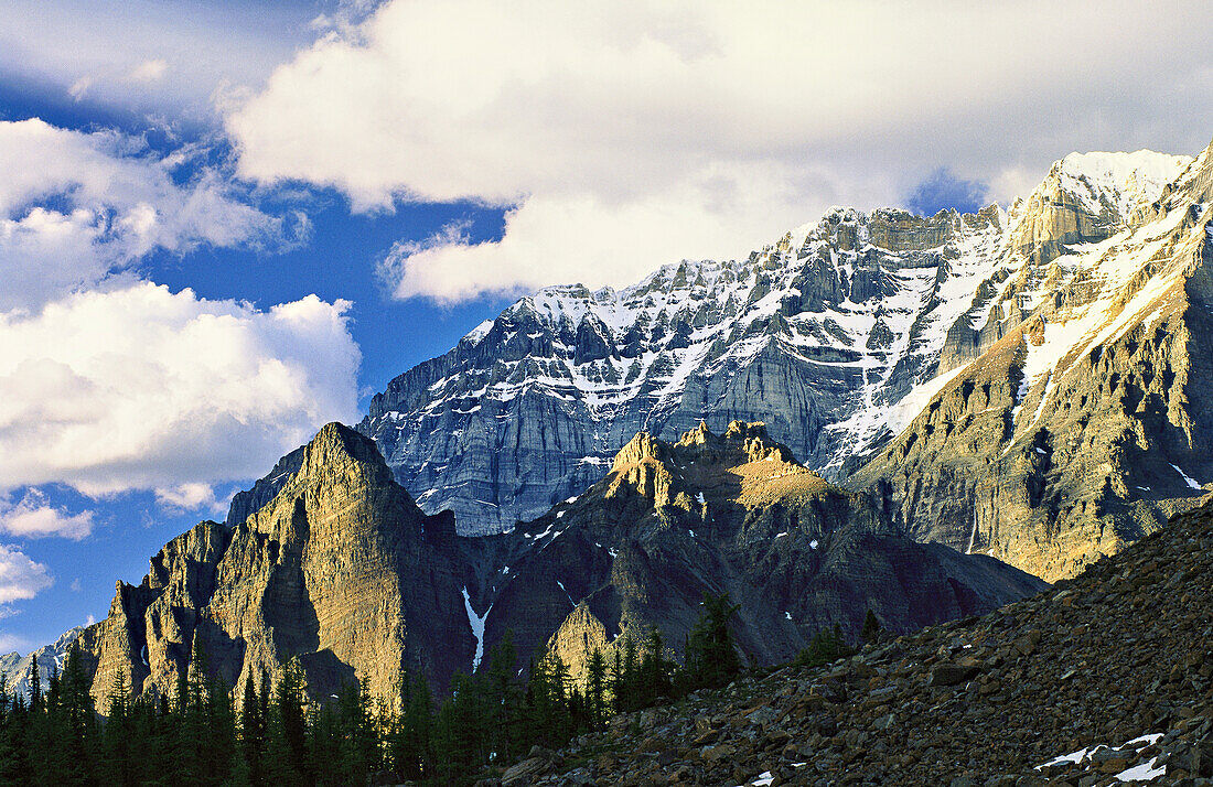 Blick auf die schneebedeckten Rocky Mountains im Yoho National Park; British Columbia, Kanada.