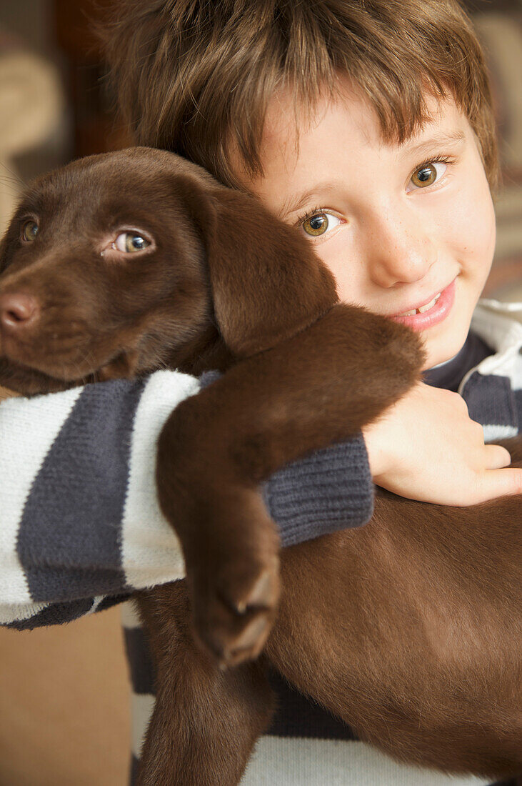 Lächelnder Junge, der einen Schokoladen-Labrador-Welpen umarmt