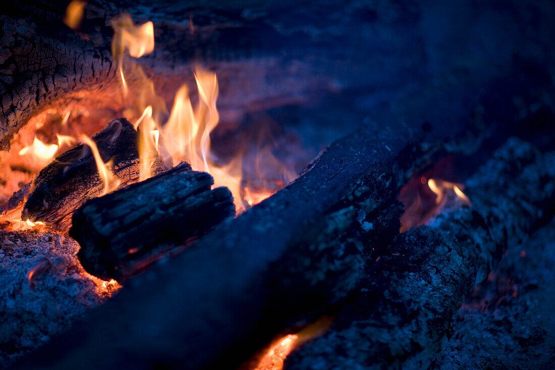 Close up of Embers and flames