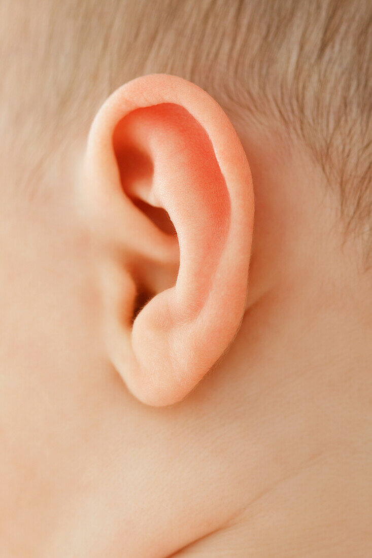 Close up of Baby's Ear