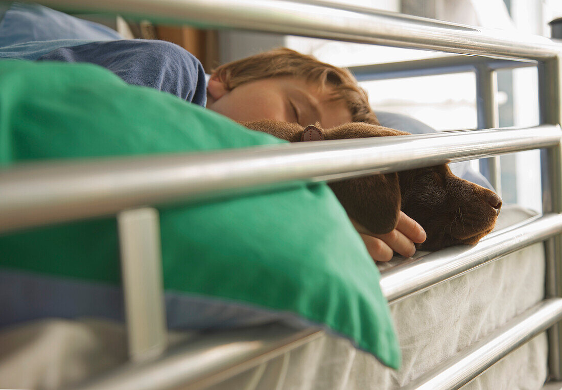 Junge schläft mit Labrador-Welpe
