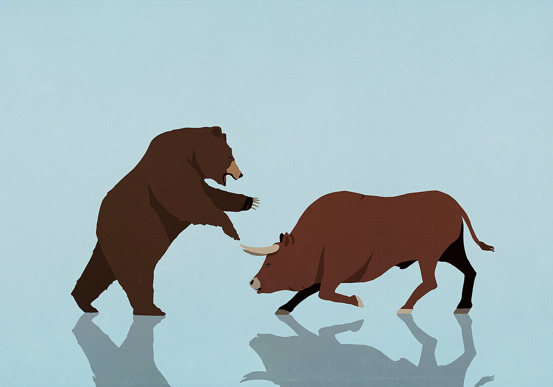 Bull and bear stock market symbols fighting on blue background