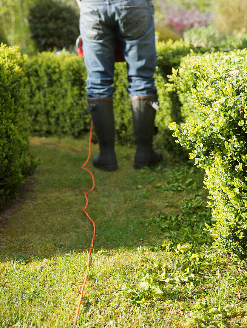 Rückansicht eines Gärtners, der eine Hecke mit einer elektrischen Schere schneidet, kopflos