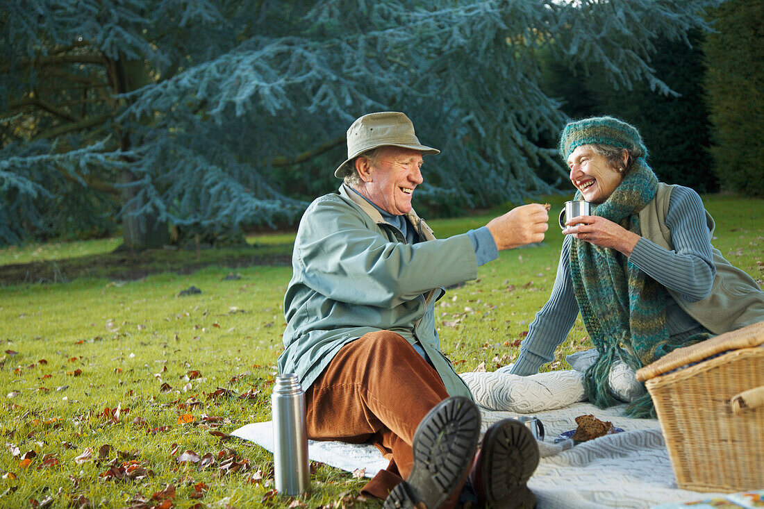 Älteres Paar beim Picknick in einem Park