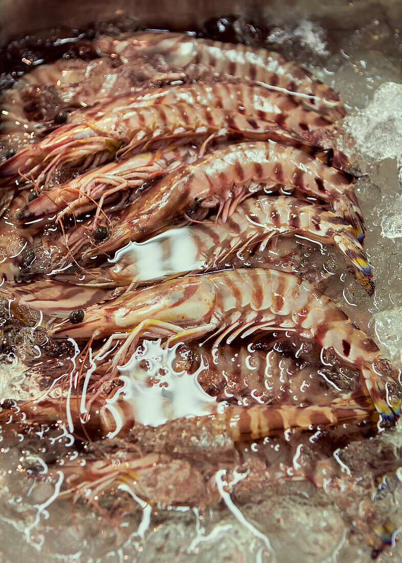 Close up raw jumbo prawns on ice