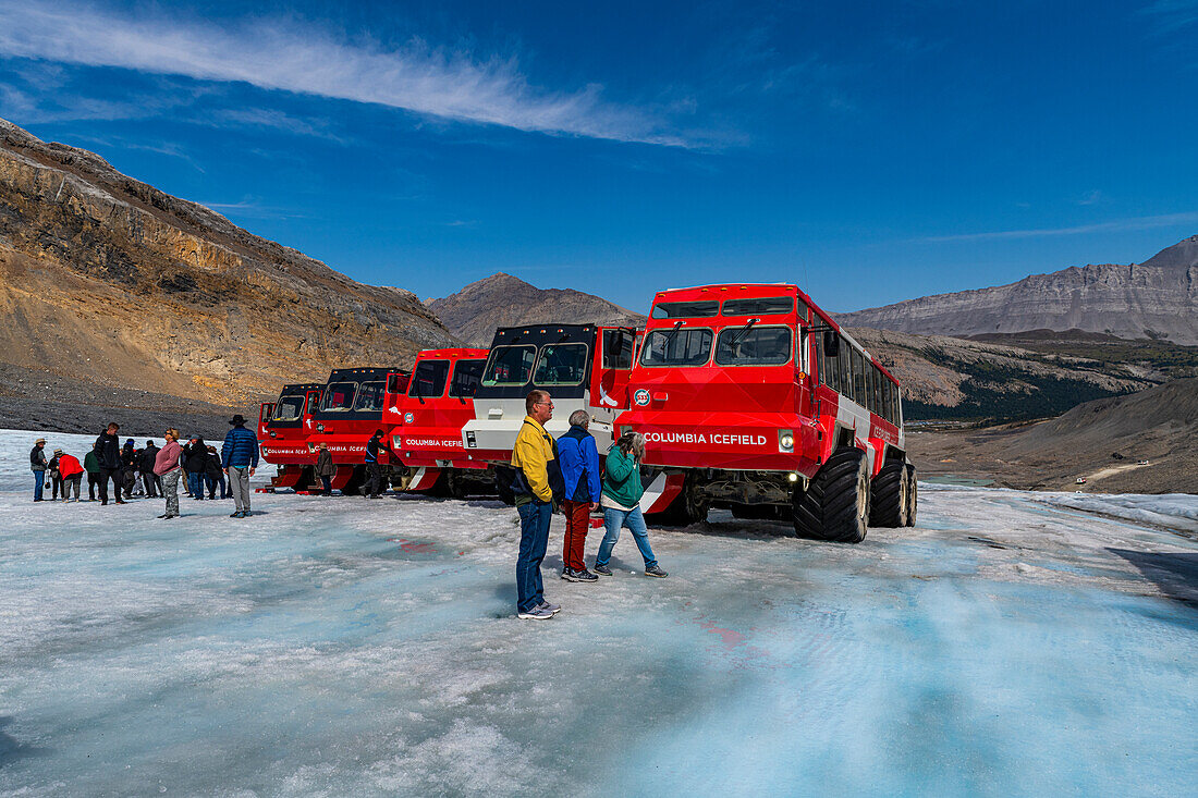 Specialized icefield trucks on the Columbia Icefield, Glacier Parkway, Alberta, Canada, North America