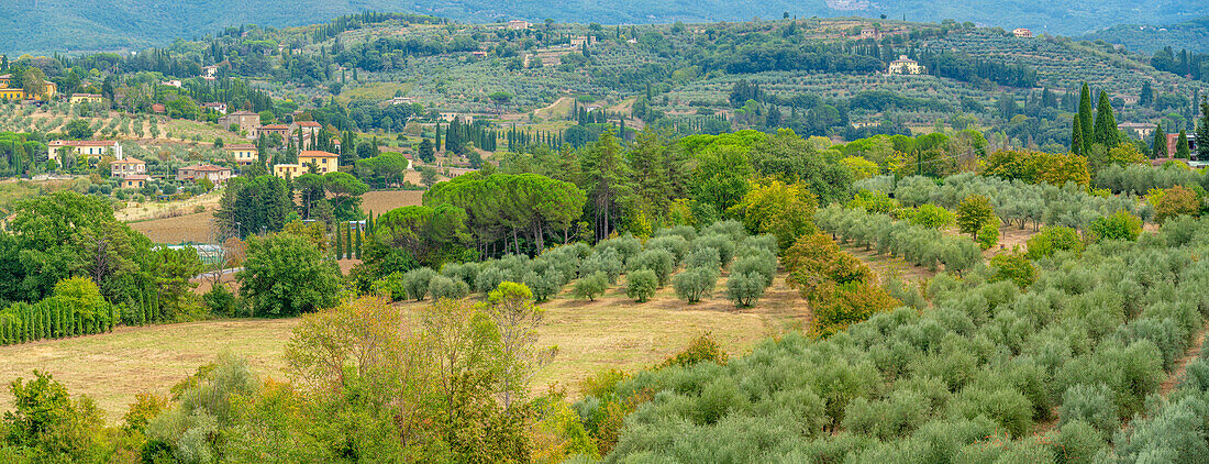 View of Tuscan landscape from Passeggio del Prato, Arezzo, Province of Arezzo, Tuscany, Italy, Europe