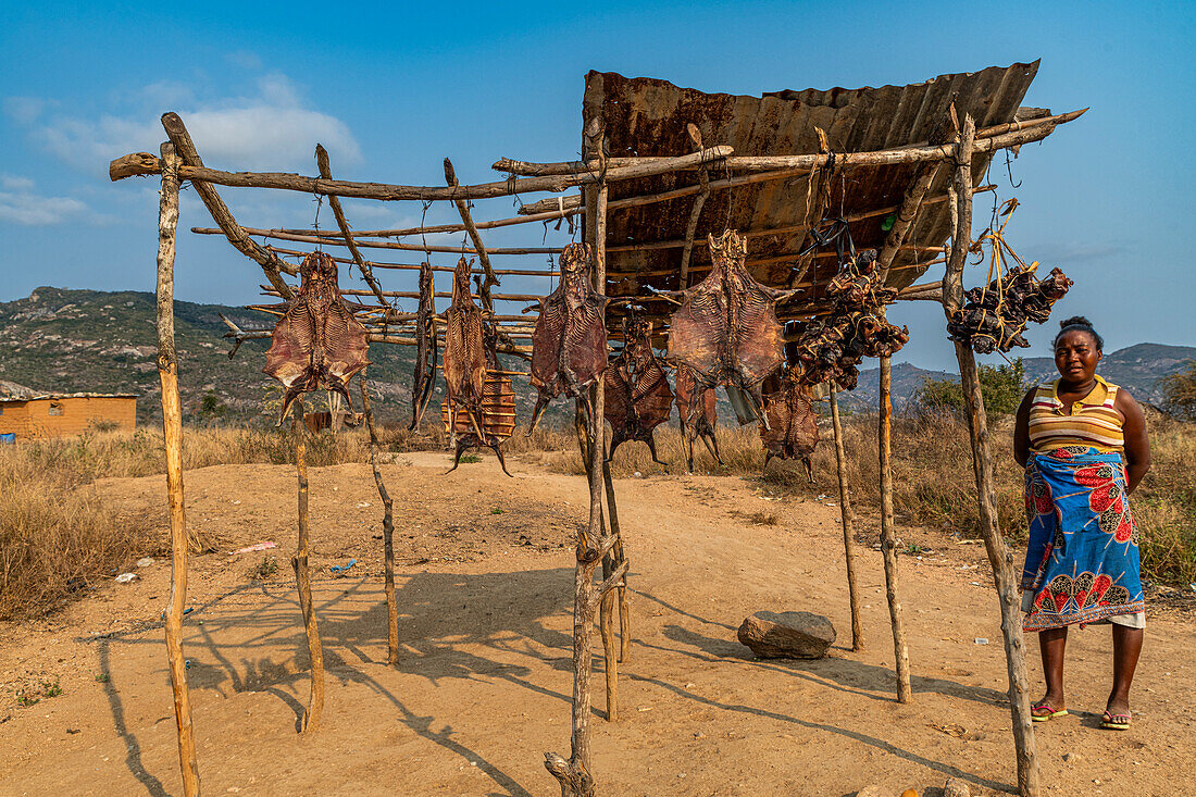 Dried rats for sale, Sumbe, Kwanza Sul, Angola, Africa