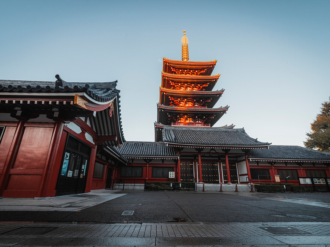 Fünfstöckige Pagode bei Sonnenaufgang im Senso-ji-Tempel, Tokio, Honshu, Japan, Asien