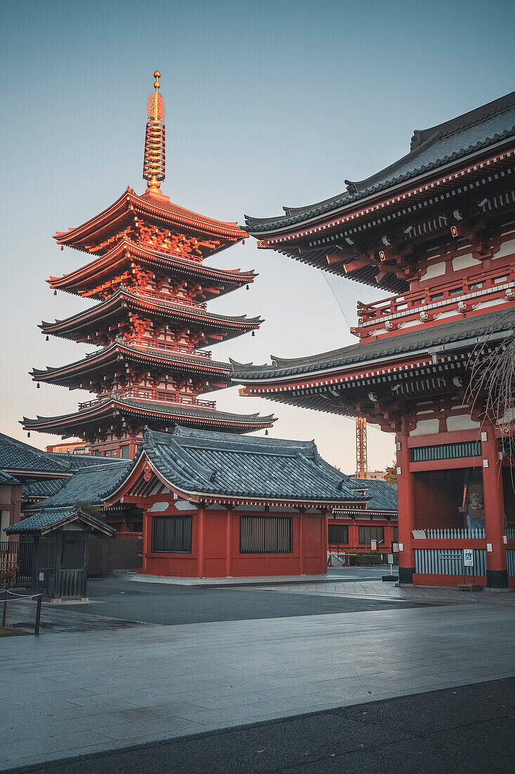 Fünfstöckige Pagode bei Sonnenaufgang im Senso-ji-Tempel, Tokio, Honshu, Japan, Asien