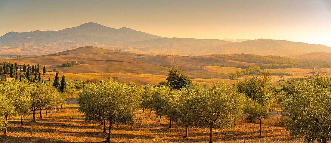 Blick auf eine goldene toskanische Landschaft bei Pienza, Pienza, Provinz Siena, Toskana, Italien, Europa