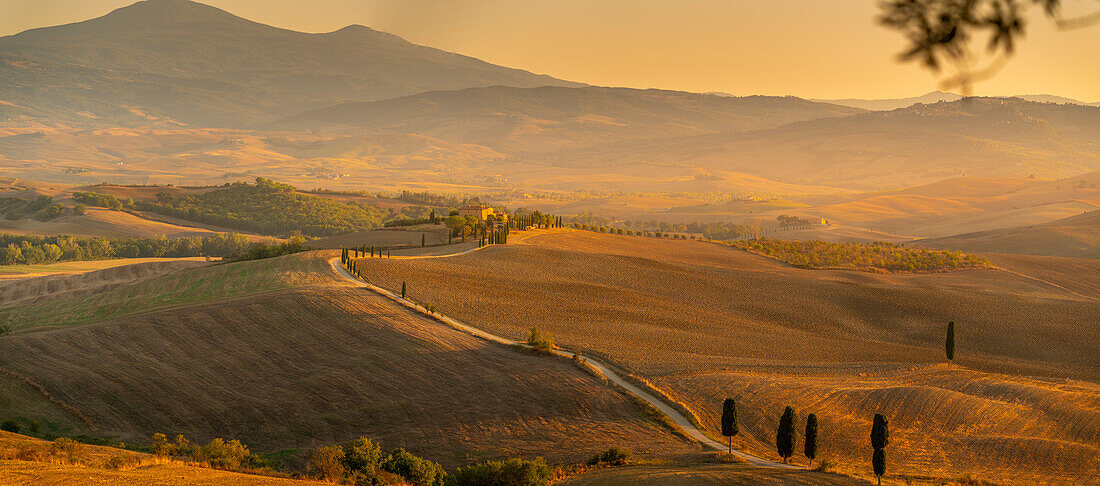 Blick auf eine goldene toskanische Landschaft bei Pienza, Pienza, Provinz Siena, Toskana, Italien, Europa