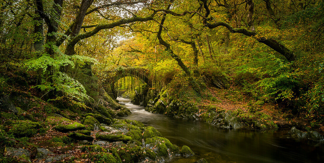 Penmachno Roman Bridge, Snowdonia, Wales, United Kingdom, Europe