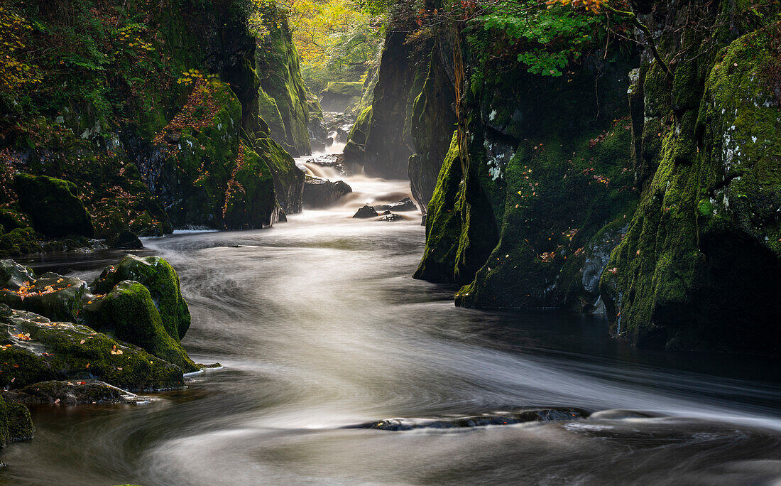 Fairy Glen, Betws y Coed, Conwy, Snowdonia, Wales, United Kingdom, Europe