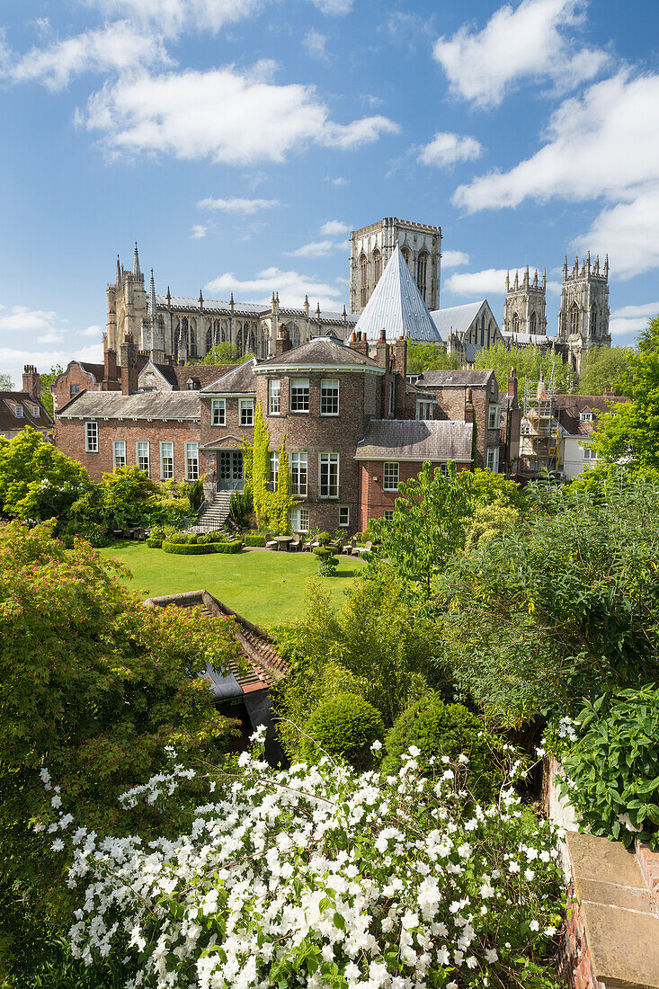 York Minster und Greys Court von den Bar Walls im Frühling, York, Yorkshire, England, Vereinigtes Königreich, Europa