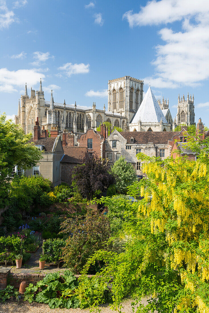 York Minster viewed from the bar Walls in summer time, York, Yorkshire, England, United Kingdom, Europe