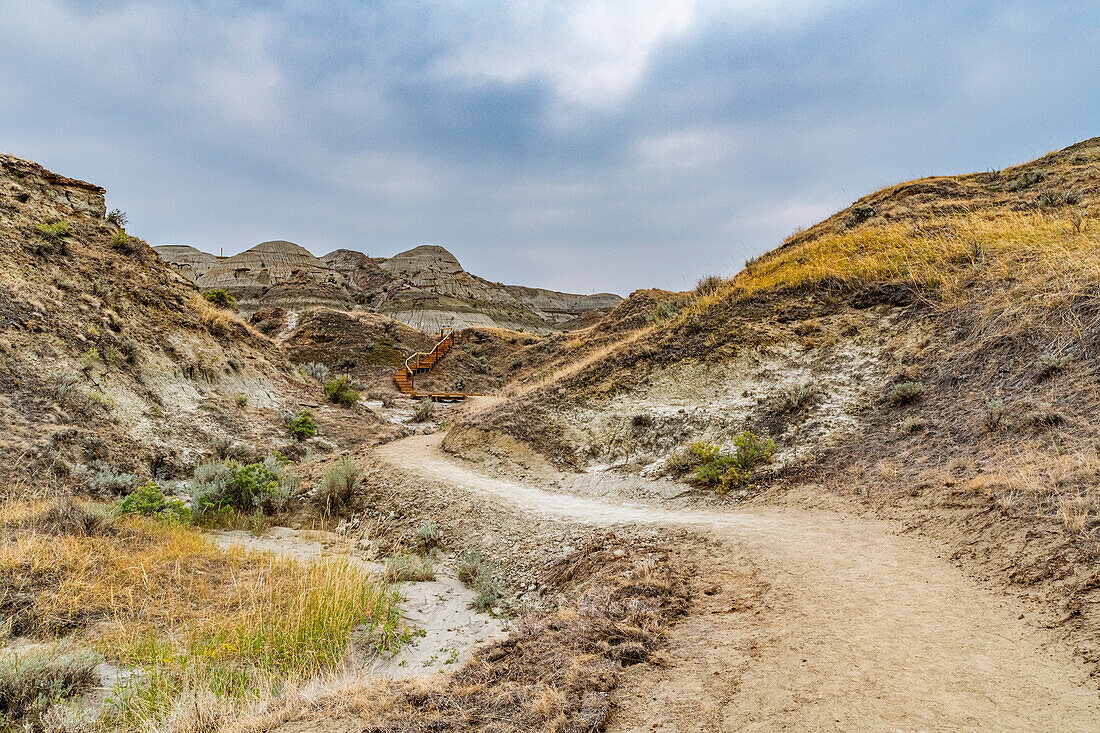 Eroded landscape in the Dinosaur Provincial Park, UNESCO World Heritage Site, Alberta, Canada, North America