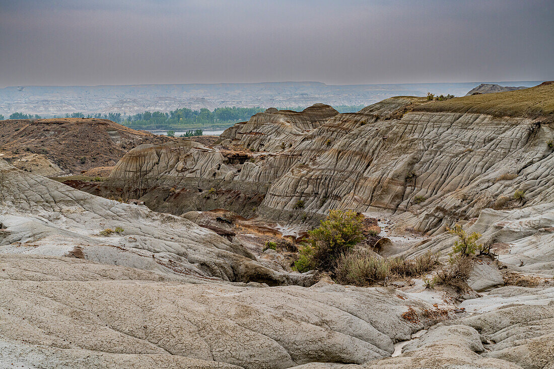 Eroded landscape in the Dinosaur Provincial Park, UNESCO World Heritage Site, Alberta, Canada, North America