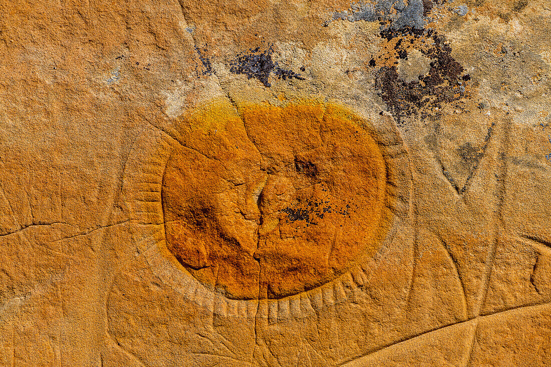 Indianische Felszeichnungen, Writing-on-Stone Provincial Park, UNESCO-Welterbestätte, Alberta, Kanada, Nordamerika