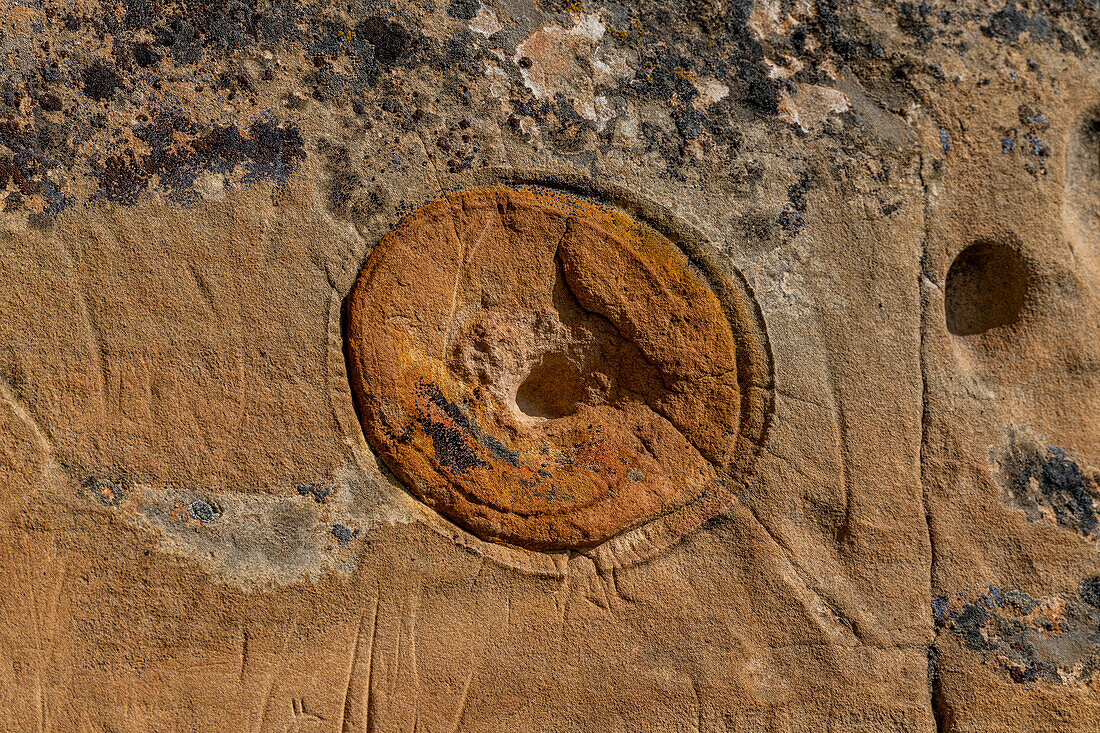 Indian rock carving, Writing-on-Stone Provincial Park, UNESCO World Heritage Site, Alberta, Canada, North America