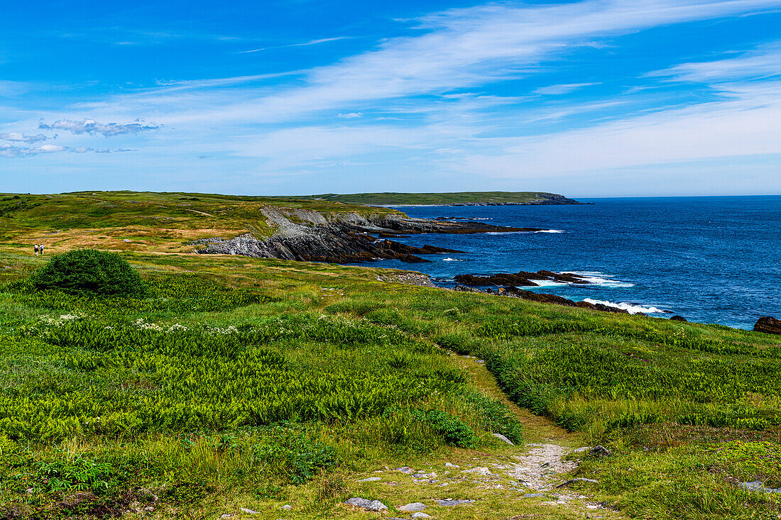 Küstenlinie von Mistaken Point, UNESCO-Weltkulturerbe, Avalon-Halbinsel, Neufundland, Kanada, Nordamerika
