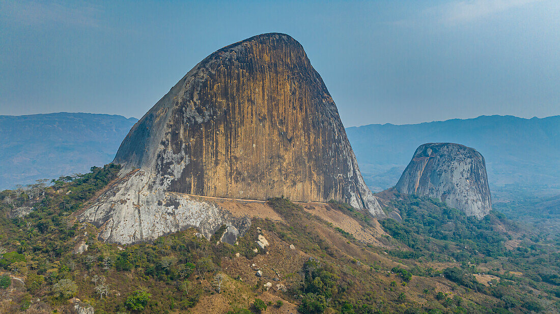 Conda, Kumbira Waldreservat, Kwanza Sul, Angola, Afrika