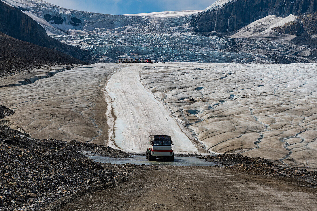 Specialized icefield truck on the Columbia Icefield, Glacier Parkway, Alberta, Canada, North America