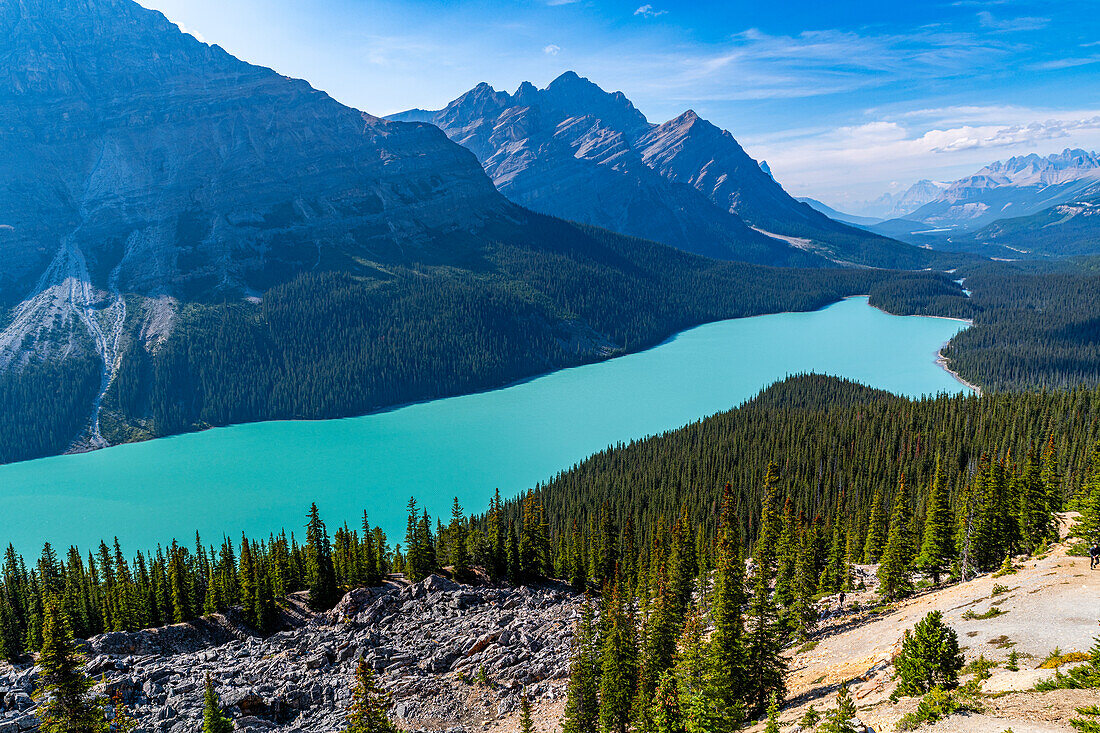 Türkisfarbener Peyto-See, Glacier Parkway, Banff-Nationalpark, UNESCO-Welterbe, Alberta, Kanadische Rocky Mountains, Kanada, Nordamerika
