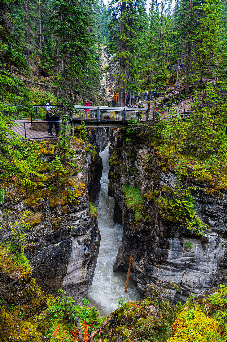 Maligne Canyon, Jasper National Park, UNESCO-Weltkulturerbe, Alberta, Kanadische Rockies, Kanada, Nordamerika