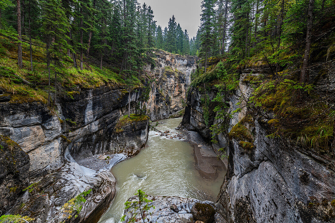 Maligne Canyon, Jasper National Park, UNESCO-Weltkulturerbe, Alberta, Kanadische Rockies, Kanada, Nordamerika