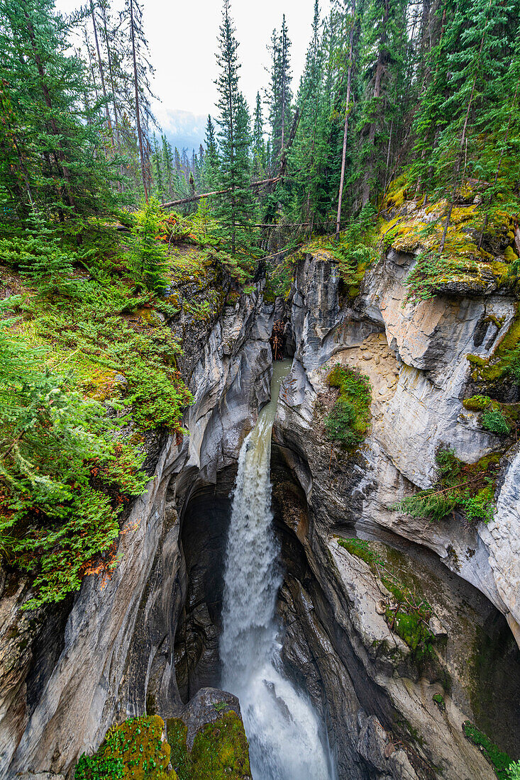 Maligne Canyon, Jasper National Park, UNESCO World Heritage Site, Alberta, Canadian Rockies, Canada, North America