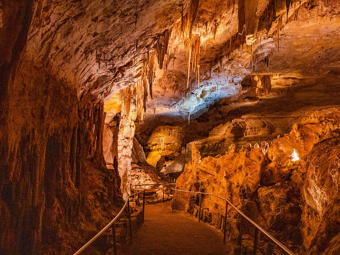 Stalaktiten in der Haupthöhle im Carlsbad Caverns National Park, UNESCO-Welterbestätte, in den Guadalupe Mountains, New Mexico, Vereinigte Staaten von Amerika, Nordamerika