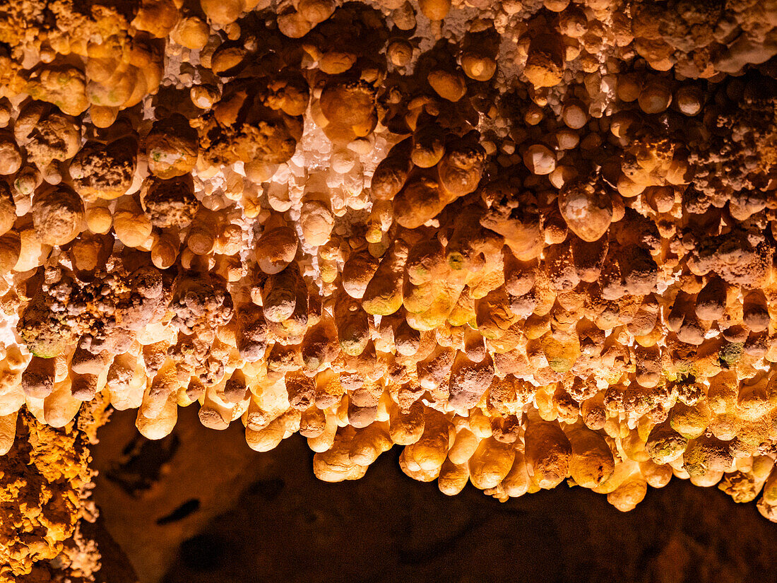 Popcorn in der Haupthöhle im Carlsbad Caverns National Park, UNESCO-Welterbestätte, in den Guadalupe Mountains, New Mexico, Vereinigte Staaten von Amerika, Nordamerika