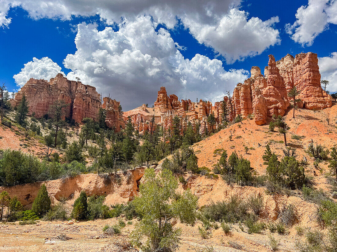 A view from the Mossy Cave Trail of red rock and hoodoos, Bryce Canyon National Park, Utah, United States of America, North America