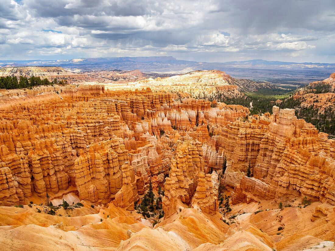 Rote Felsformationen, die als Hoodoos bekannt sind, im Bryce Canyon National Park, Utah, Vereinigte Staaten von Amerika, Nordamerika