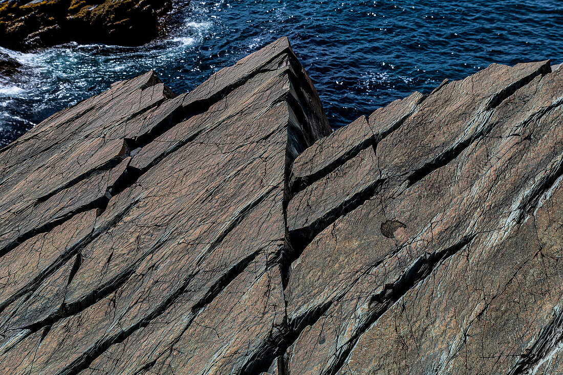 Fossilien aus dem Präkambrium, Mistaken Point, UNESCO-Welterbestätte, Avalon-Halbinsel, Neufundland, Kanada, Nordamerika